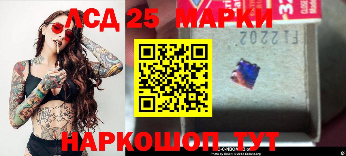 блэк спрут ссылки  Вход с VPN  Гусиноозёрск  ЛСД экстази ecstasy  LSD-25 экстази ecstasy 