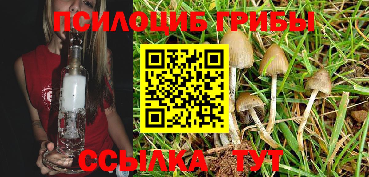 Псилоцибиновые грибы ЛСД Гусиноозёрск
